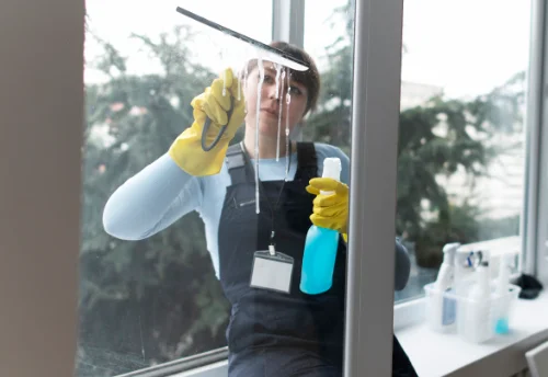 Nettoyage de vitres intérieures et extérieures à Vitreux